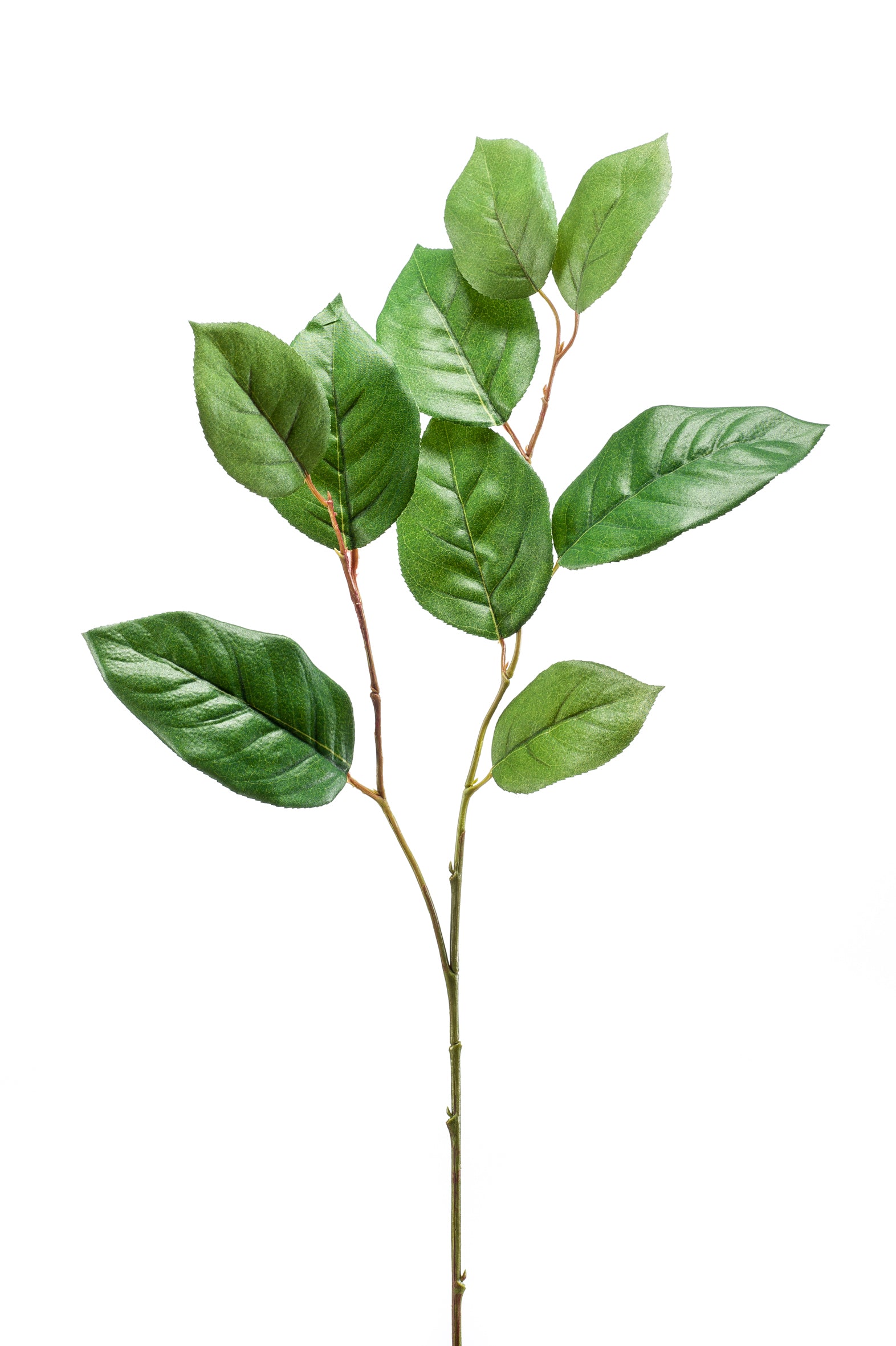 Ramo Foglie Shallon 70 Cm