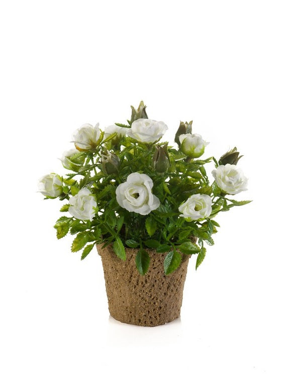Rose Mini 13 Cm Bianco In Vaso Di