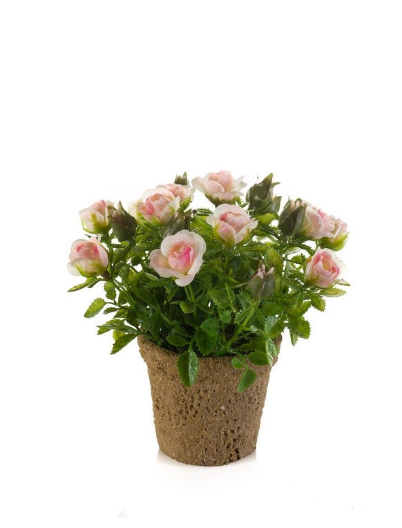 Rose Mini 13 Cm Rosa Chiaro In Vaso