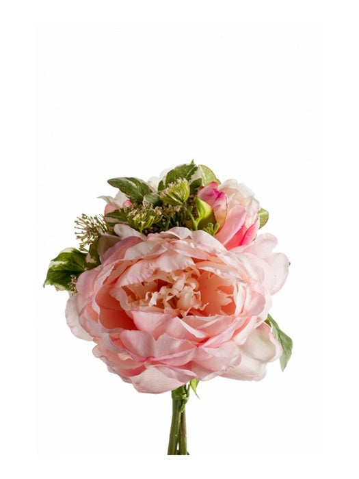 Ramo Peonia 20 Cm Rosa