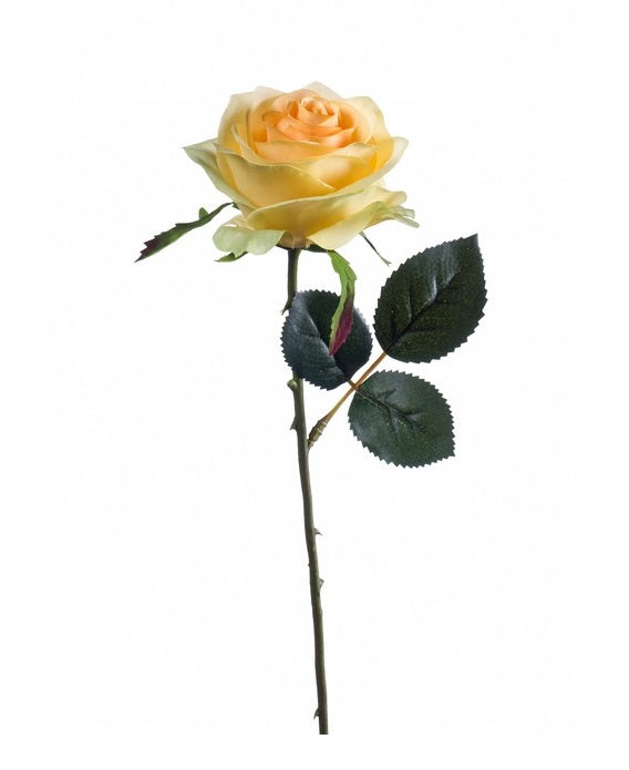 Rosa Simone Ramo 45 Cm Giallo
