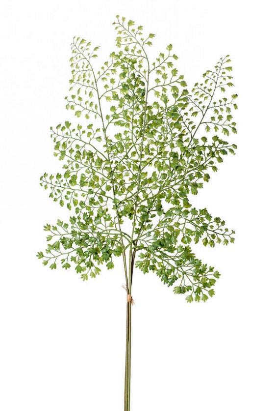 Ramo Felce Spray X3 58 Cm Verde