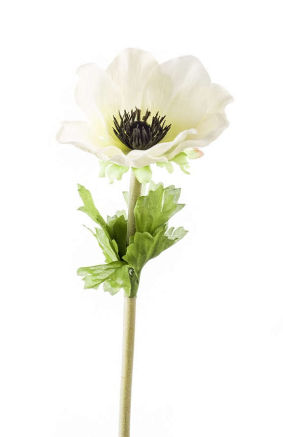 Ramo Anemone 47 Cm Crema