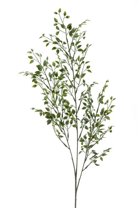 Ramo Boxwood 75 Cm Verde