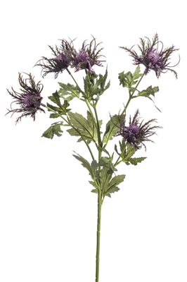 Eryngium Spray Ramo 78 Cm Viola