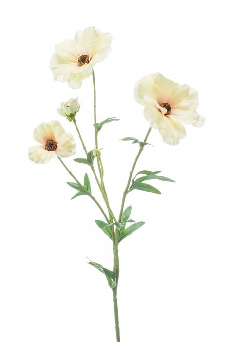 Ramo Ranuncolo Giapponese 55 Cm Rosa Crema