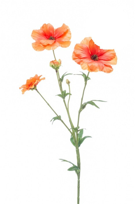 Ramo Ranuncolo Giapponese 55 Cm Arancione