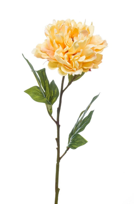 Peonia Chelsea Spray 77 Cm Giallo