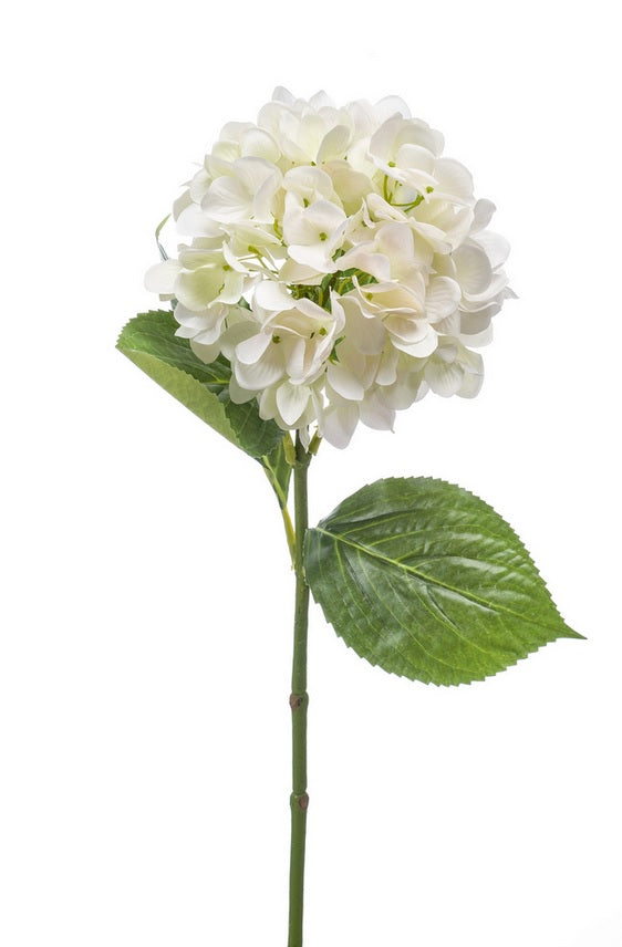 Ortensia Ramo 67 Cm Bianco