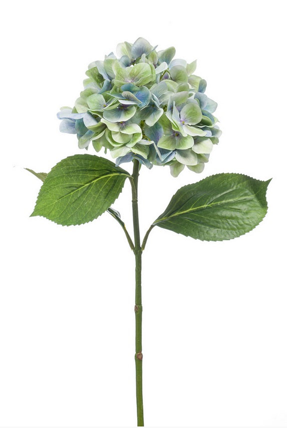 Ortensia Ramo 67 Cm Blu