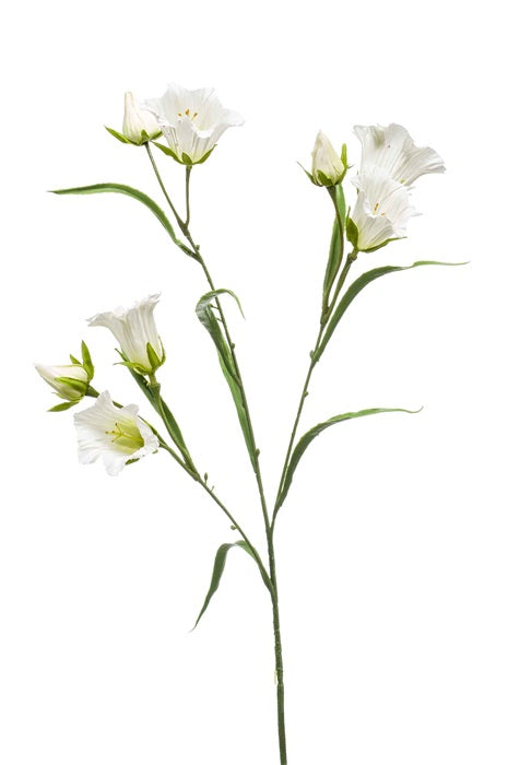 Ramo Campanula 65 Cm Bianco