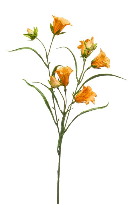 Ramo Campanula 65 Cm Giallo