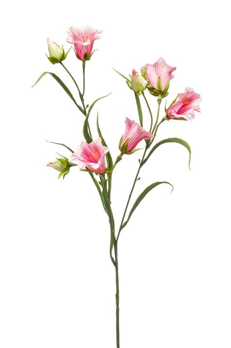 Ramo Campanula 65 Cm Rosa