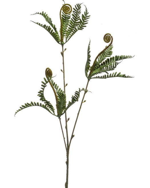 Ramo Felce Spray X3 60 Cm