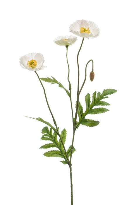 Ramo Papaveri 64 Cm Crema