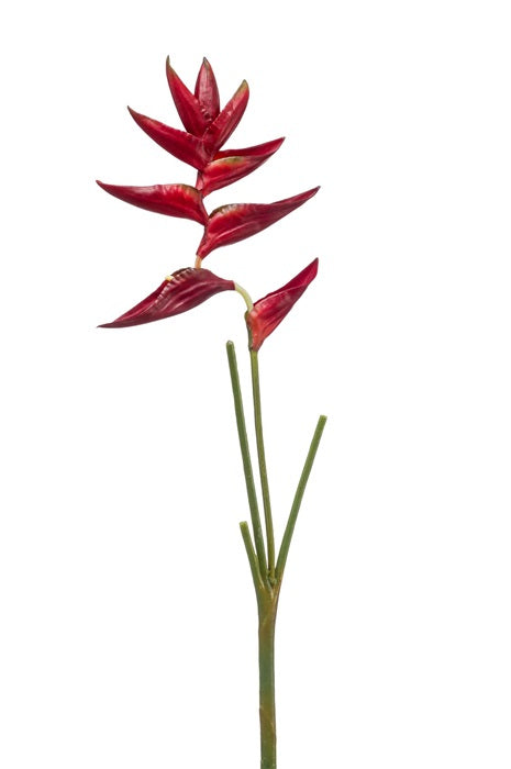 Ramo Eliconia 90 Cm Rosso