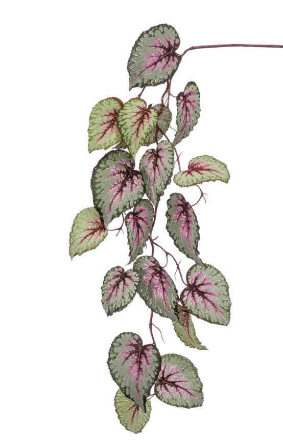 Begonia Pendente 110 Cm Rosa