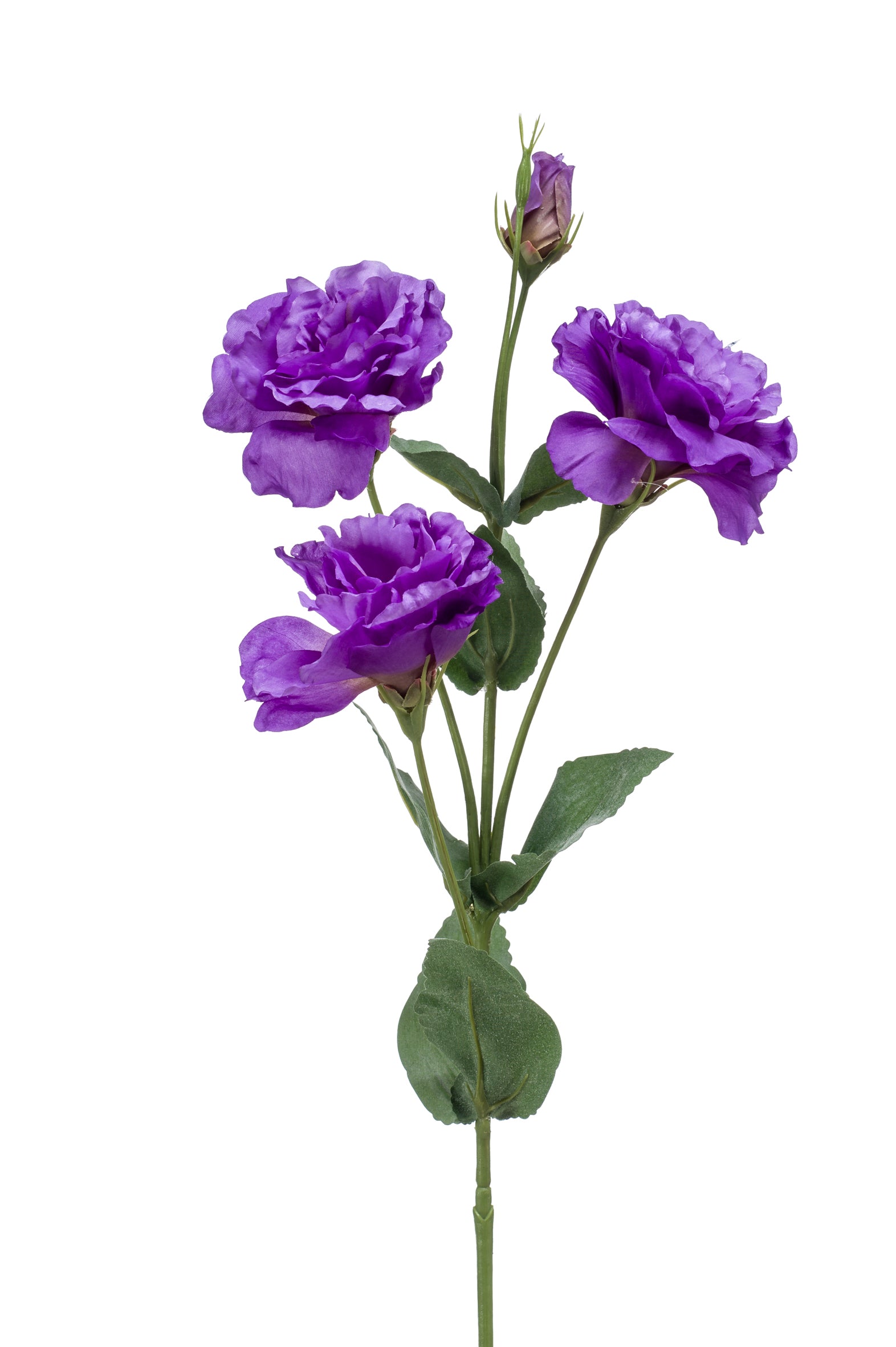 Fiore Eustoma Viola 68 Cm