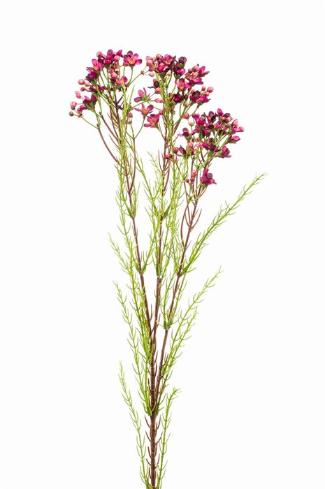 Ramo Fiori 75 Cm Viola