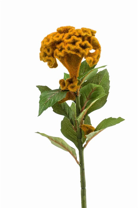 Ramo Celosia 67 Cm Giallo