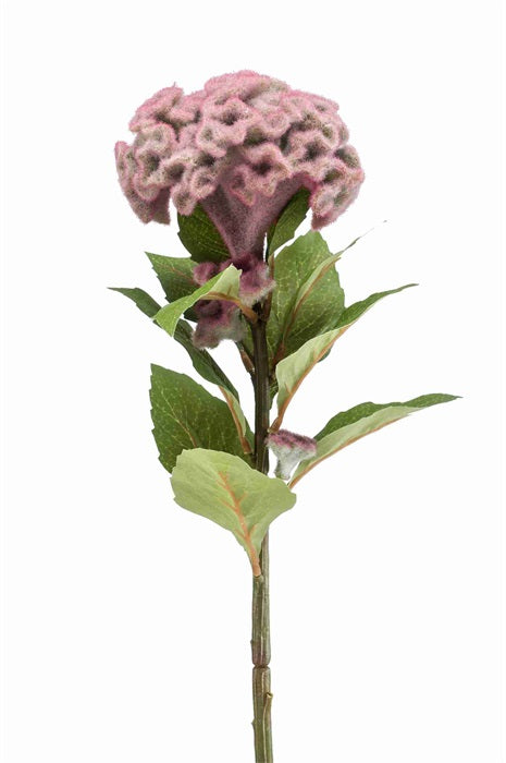 Ramo Celosia 67 Cm Viola