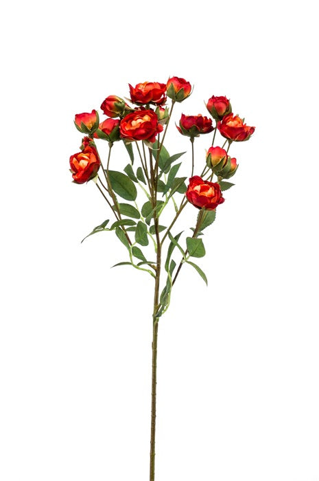 Ramo Mini Rose 57 Cm Arancione