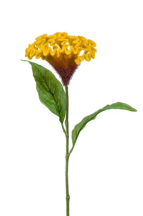 Ramo Celosia 62 Cm Giallo