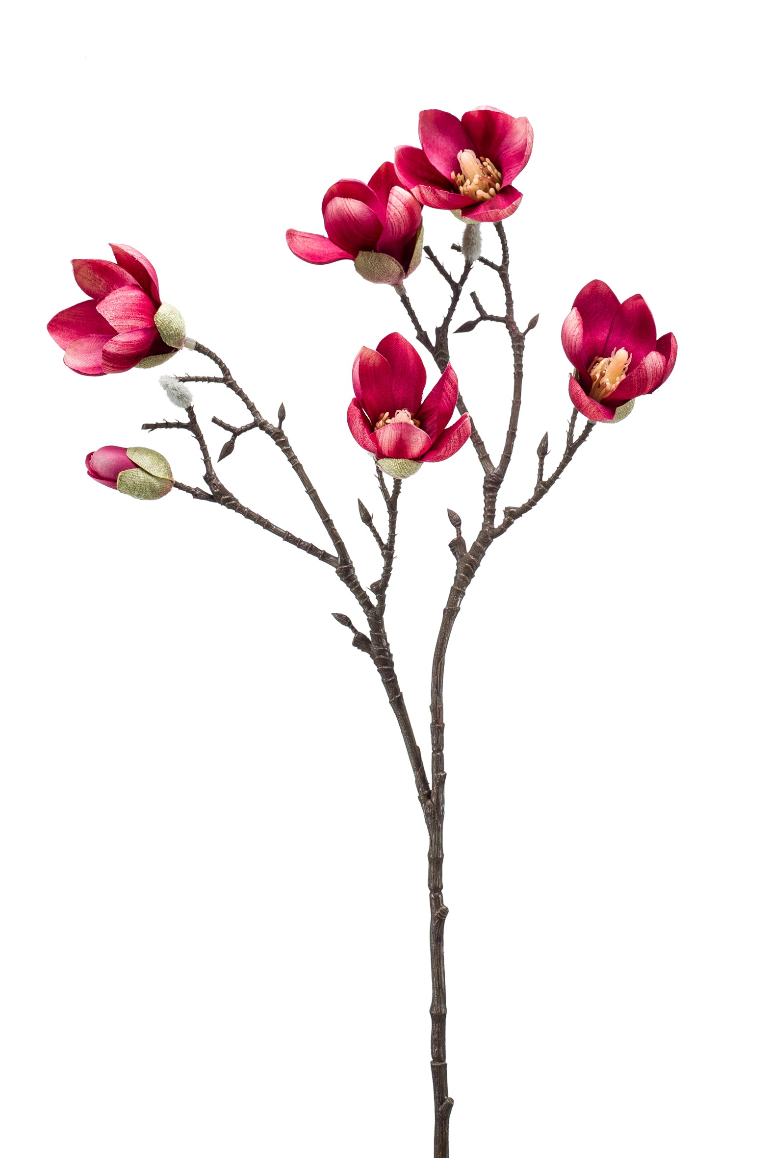 Ramo Magnolia Rosa 65 Cm