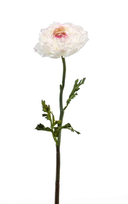 Ramo Ranuncolo 50 Cm Crema Rosa