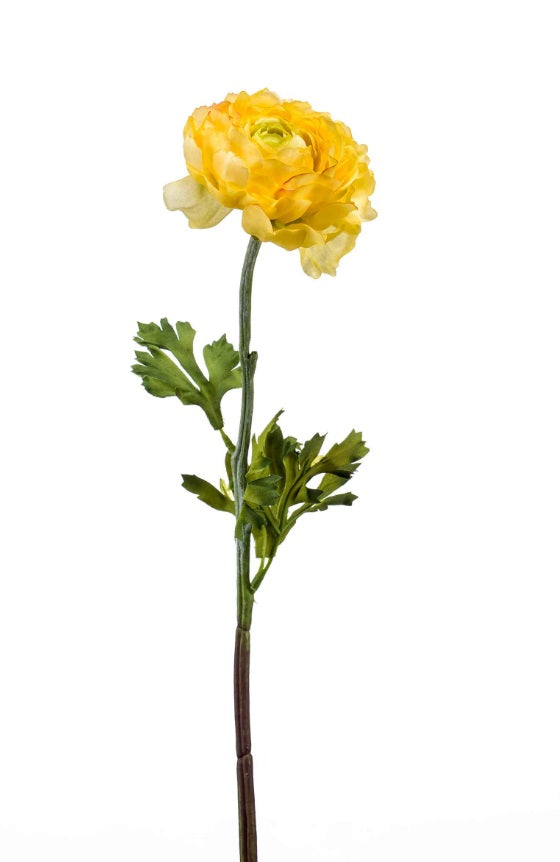 Ramo Ranuncolo 50 Cm Giallo