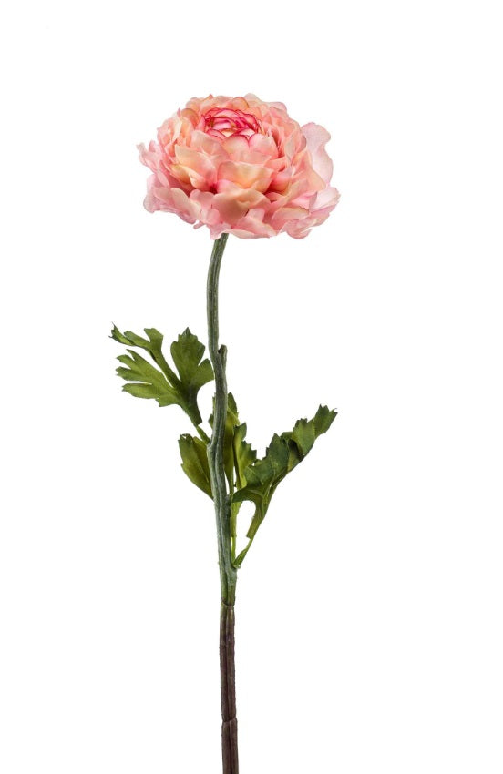 Ramo Ranuncolo 50 Cm Rosa