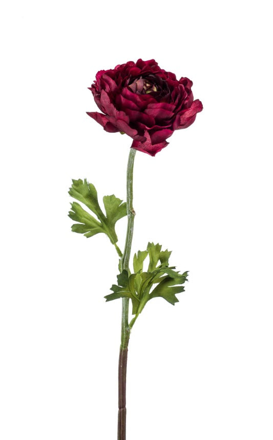 Ranuncolo Spray 50 Cm Borgogna