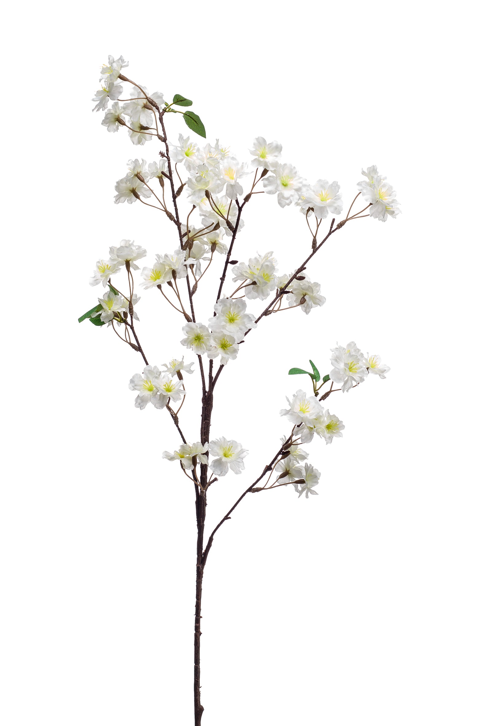 Ramo Prugna Fiori Bianchi 88 Cm