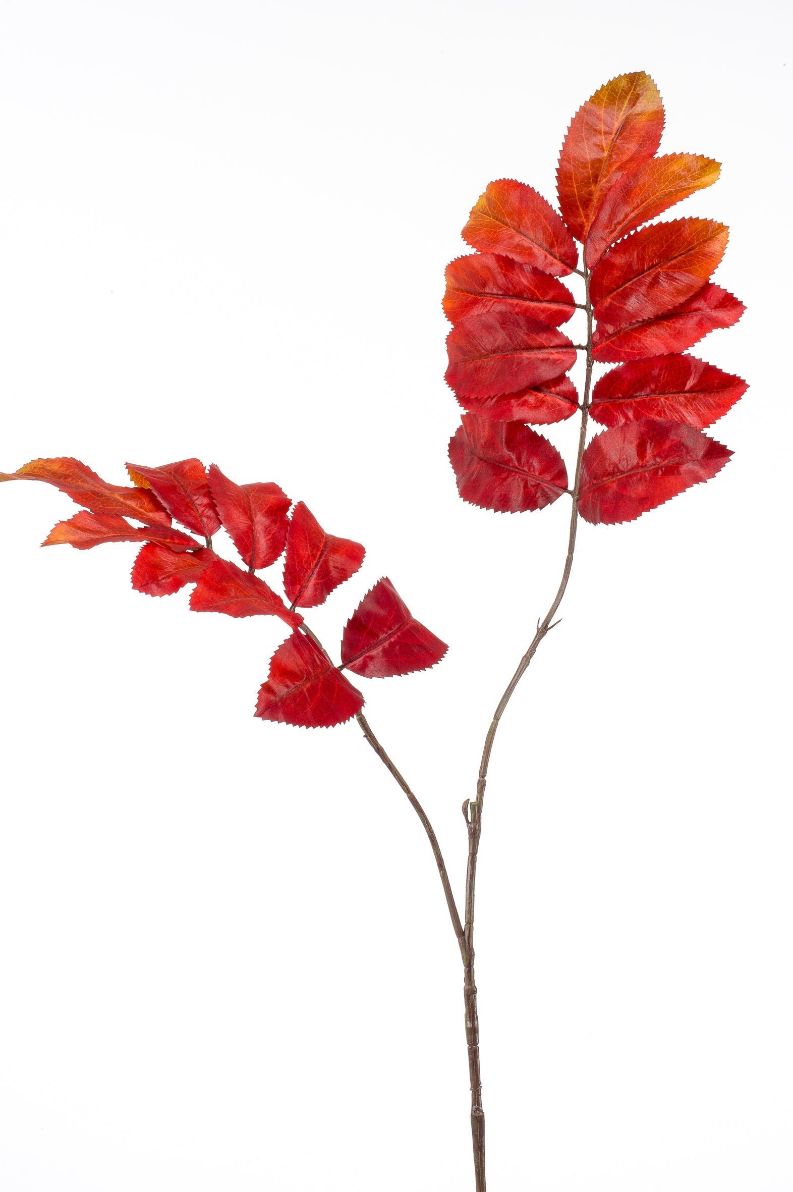 Melianthus Arancione Fiore Finto 90 Cm