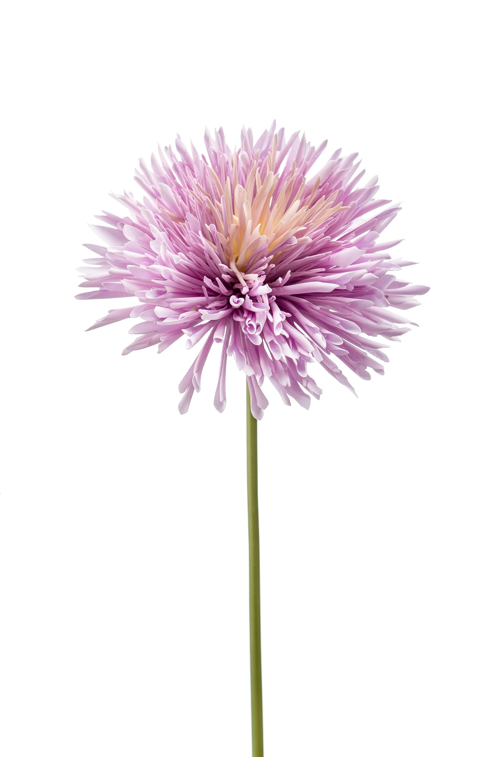 Ramo Crisantemi Lilla 58 Cm