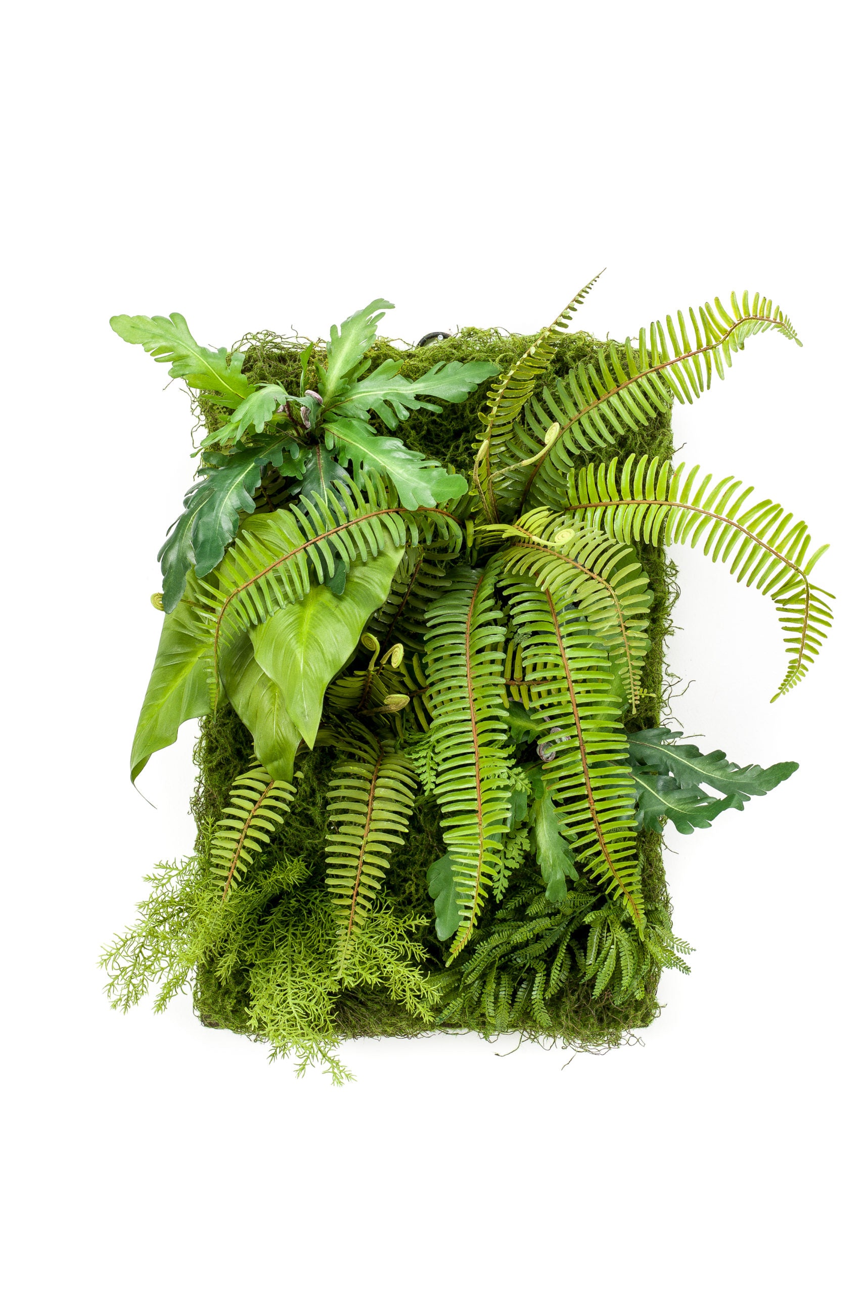 Pannello Verde Artificiale 60X40 Cm