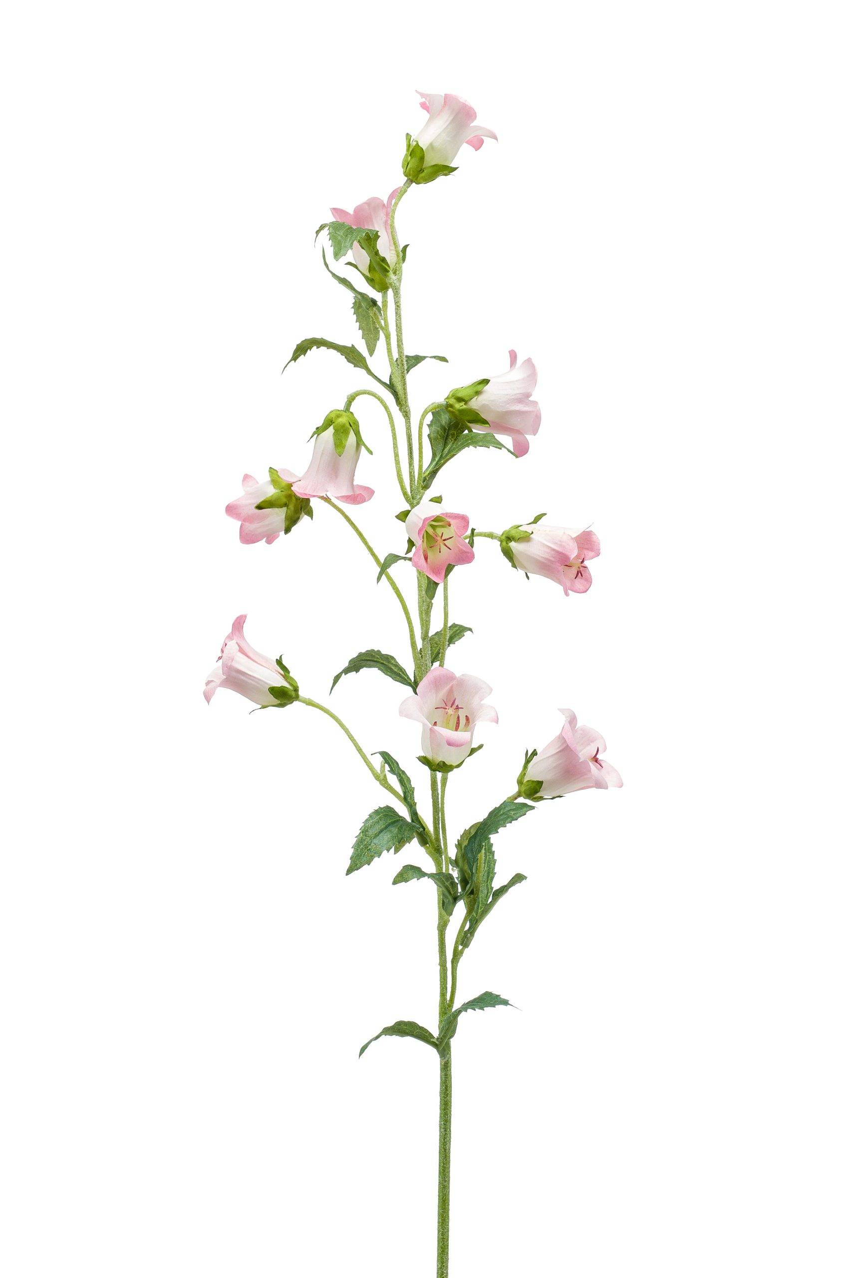 Ramo Campanula Rosa 88 Cm