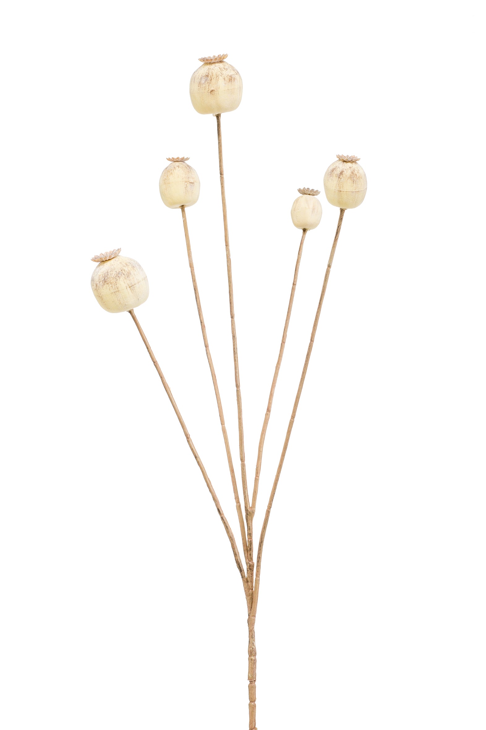 Ramo Boccioli Papavero Crema 75 Cm