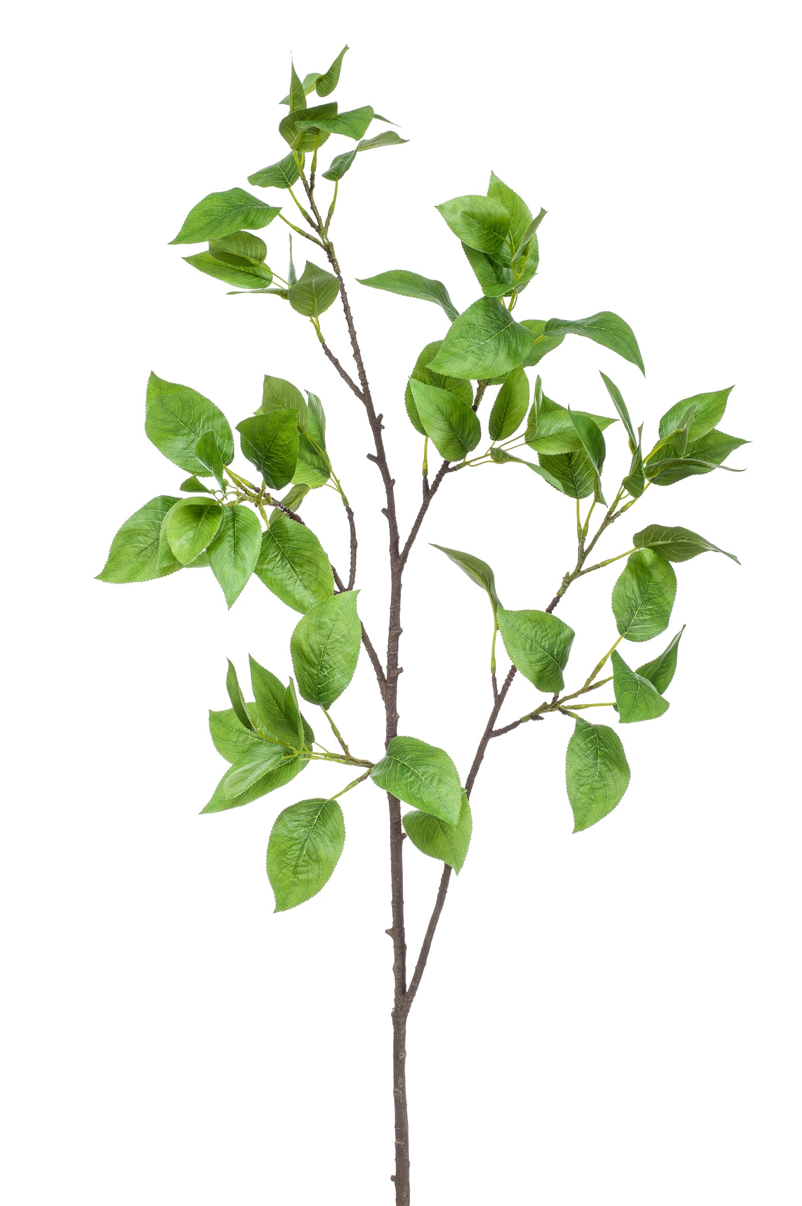 Foglie Finte Ramo Melo Verde 115 Cm