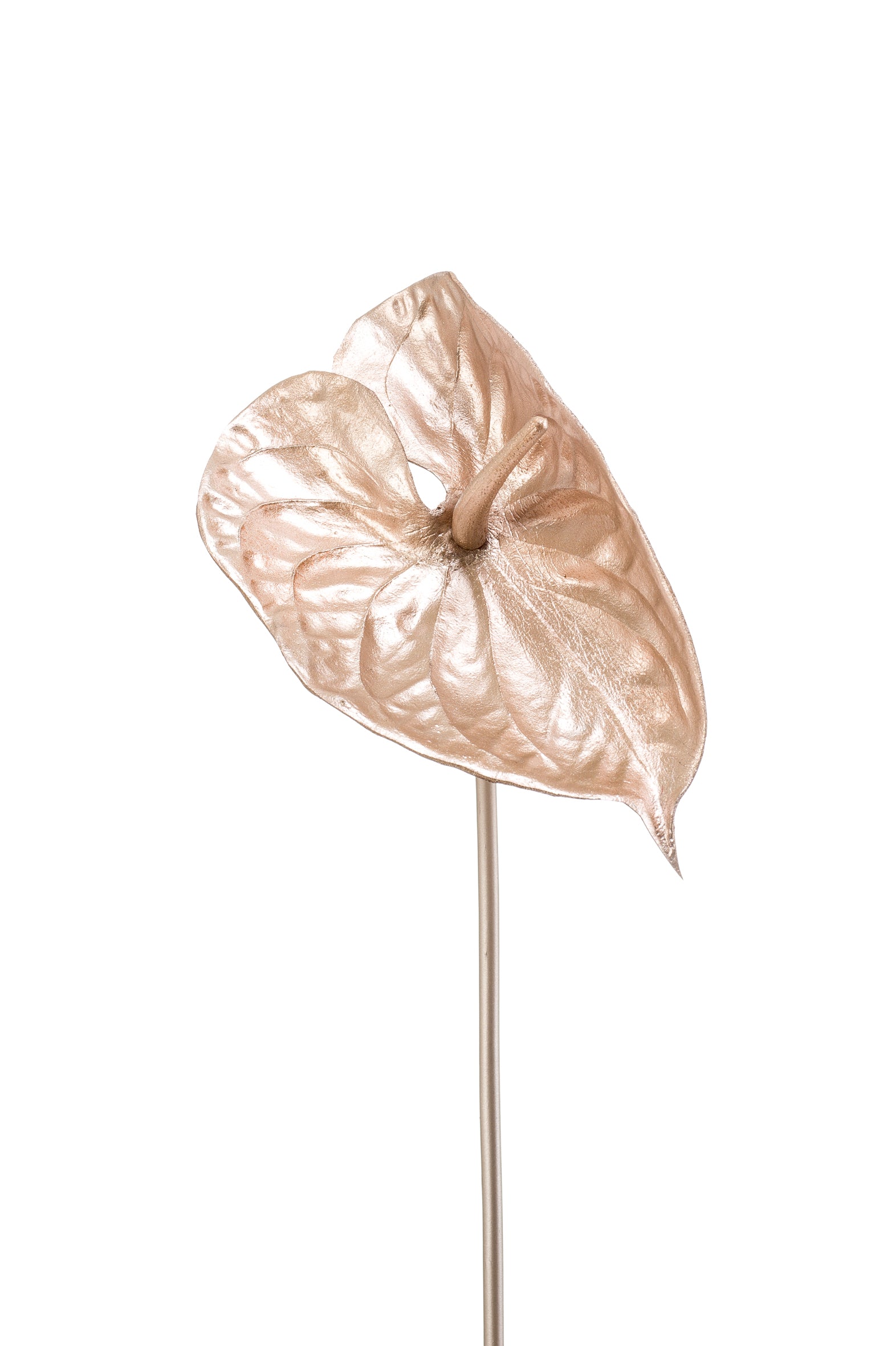 Anthurium fiore artificiale champagne da 60 cm per decorazione d'interni con stelo - DeMatteis.it
