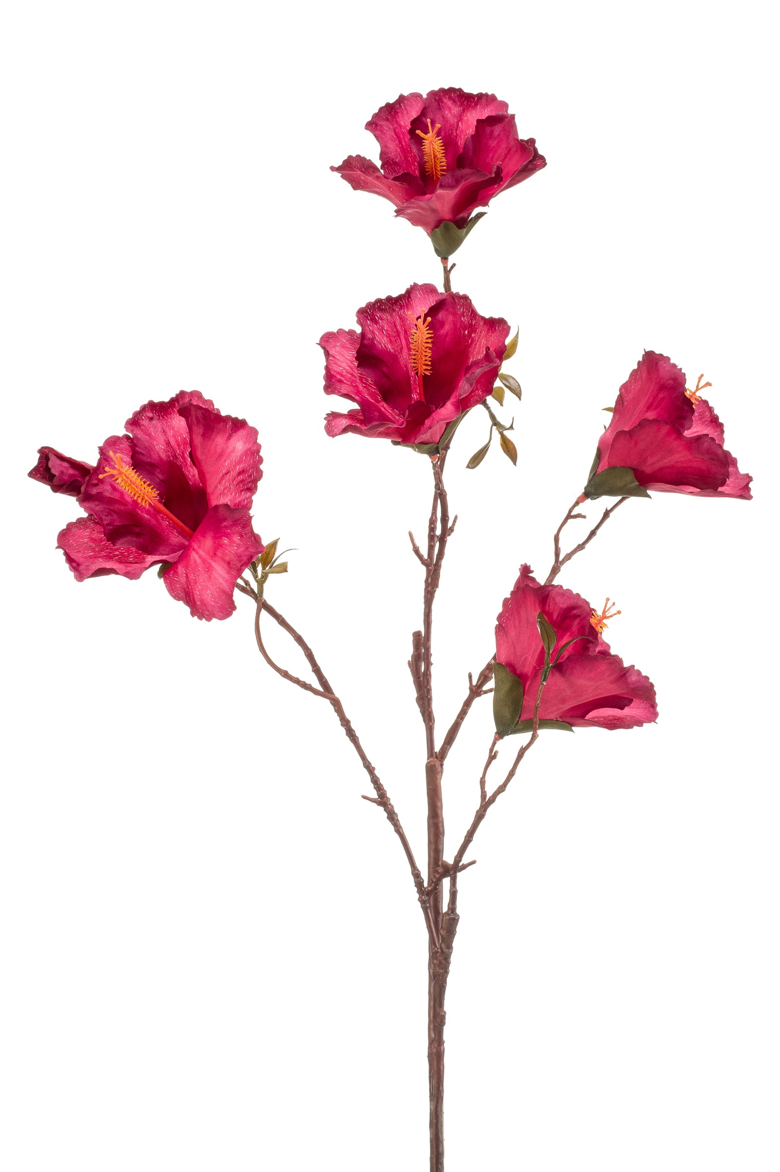 Ibisco Ramo Fucsia 85 Cm