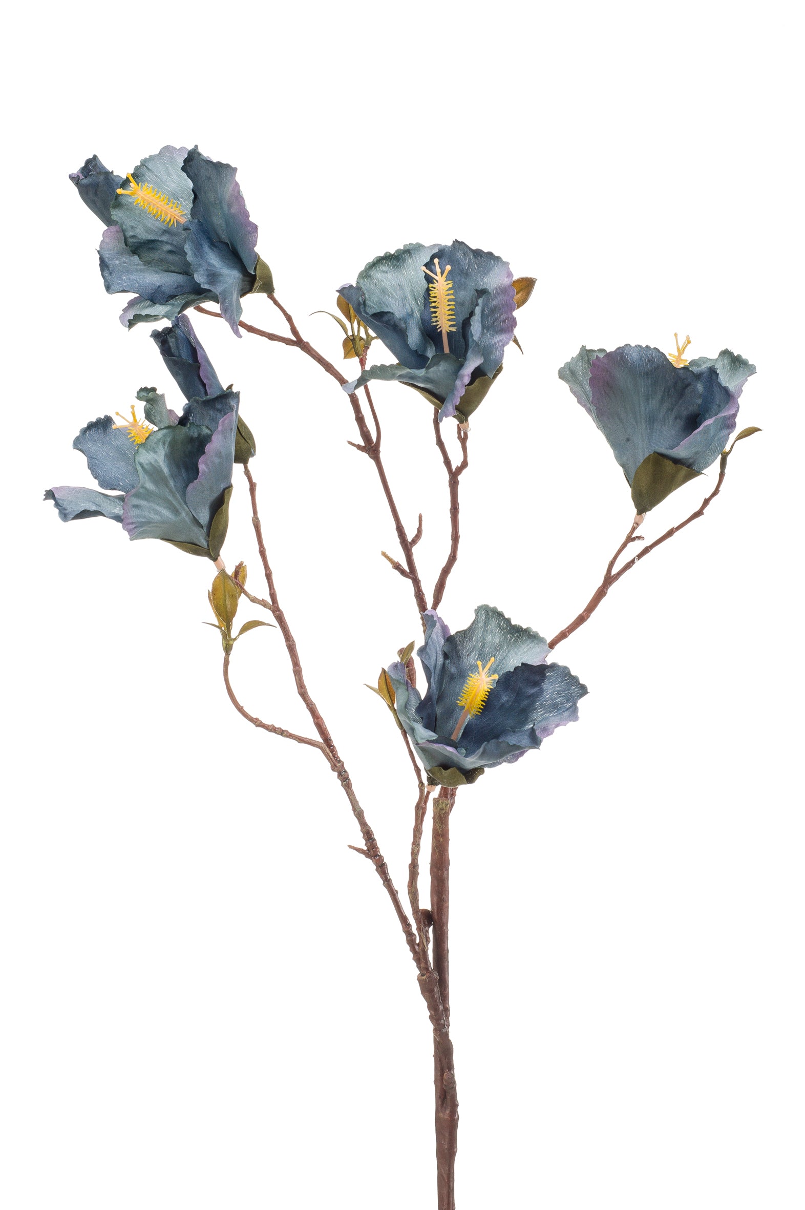 Ibisco Ramo Blu 85 Cm