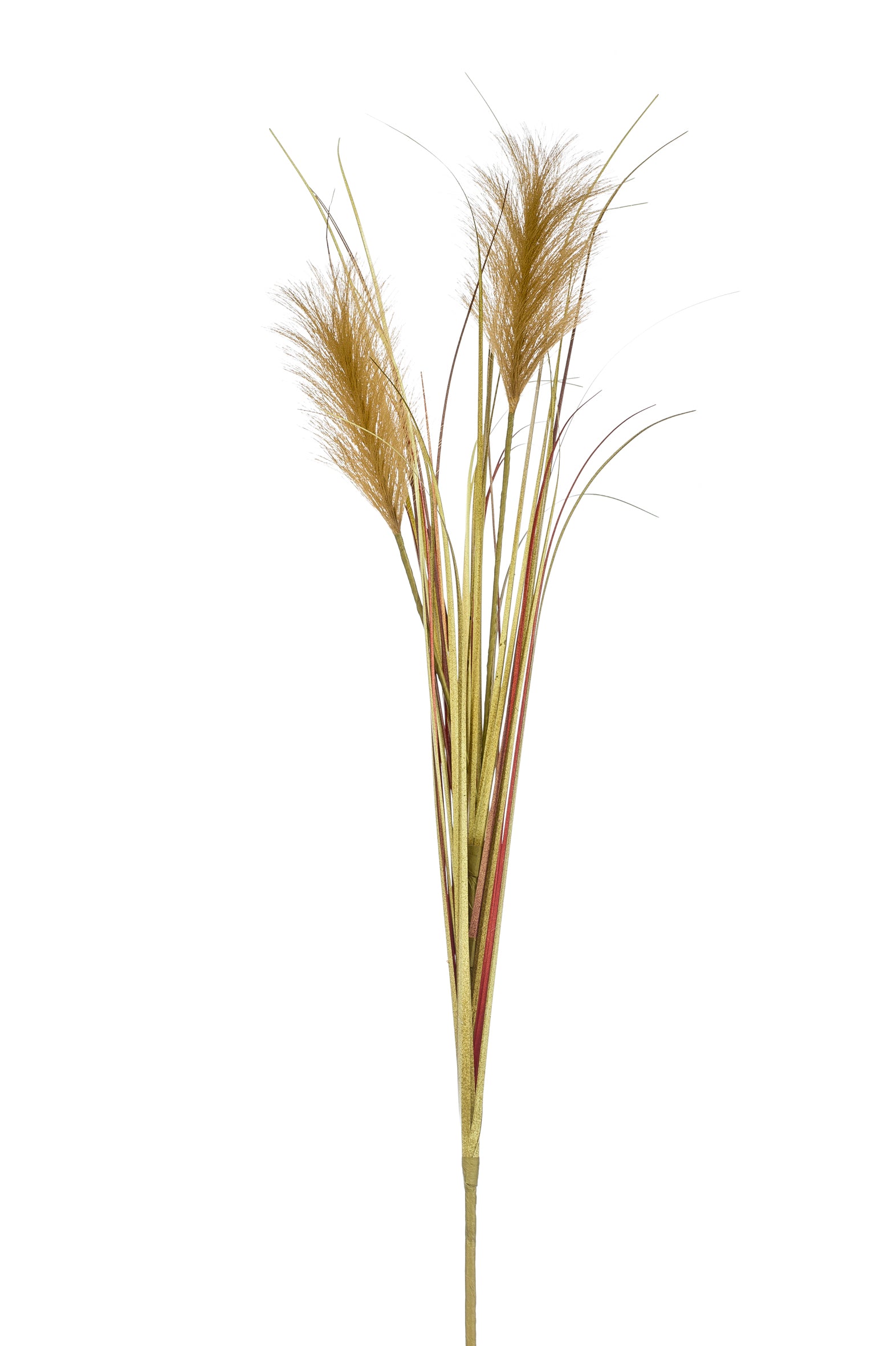 Pampas Verde Marrone 78 Cm