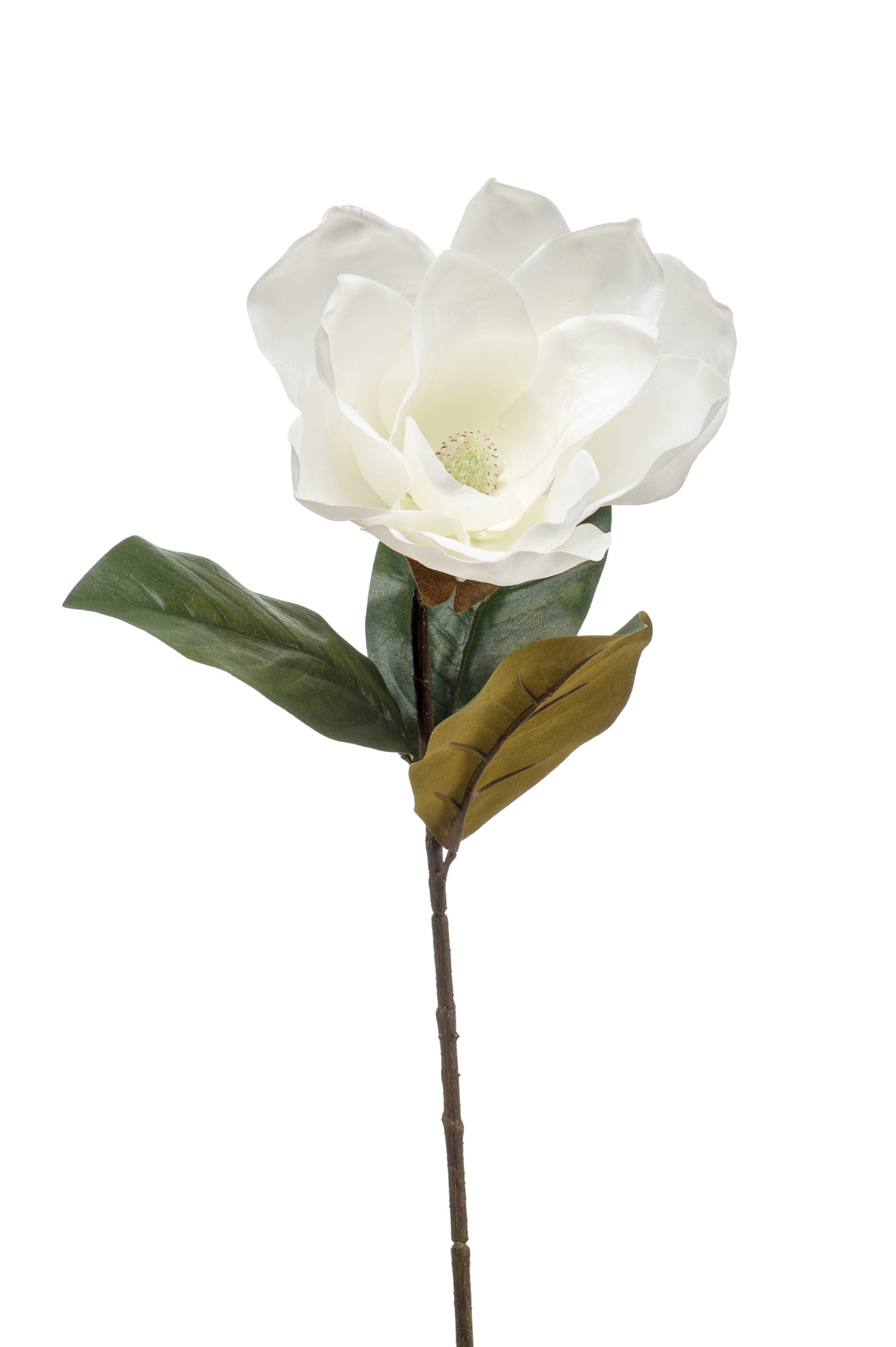 Magnolia Fiore Finto Crema 70 Cm