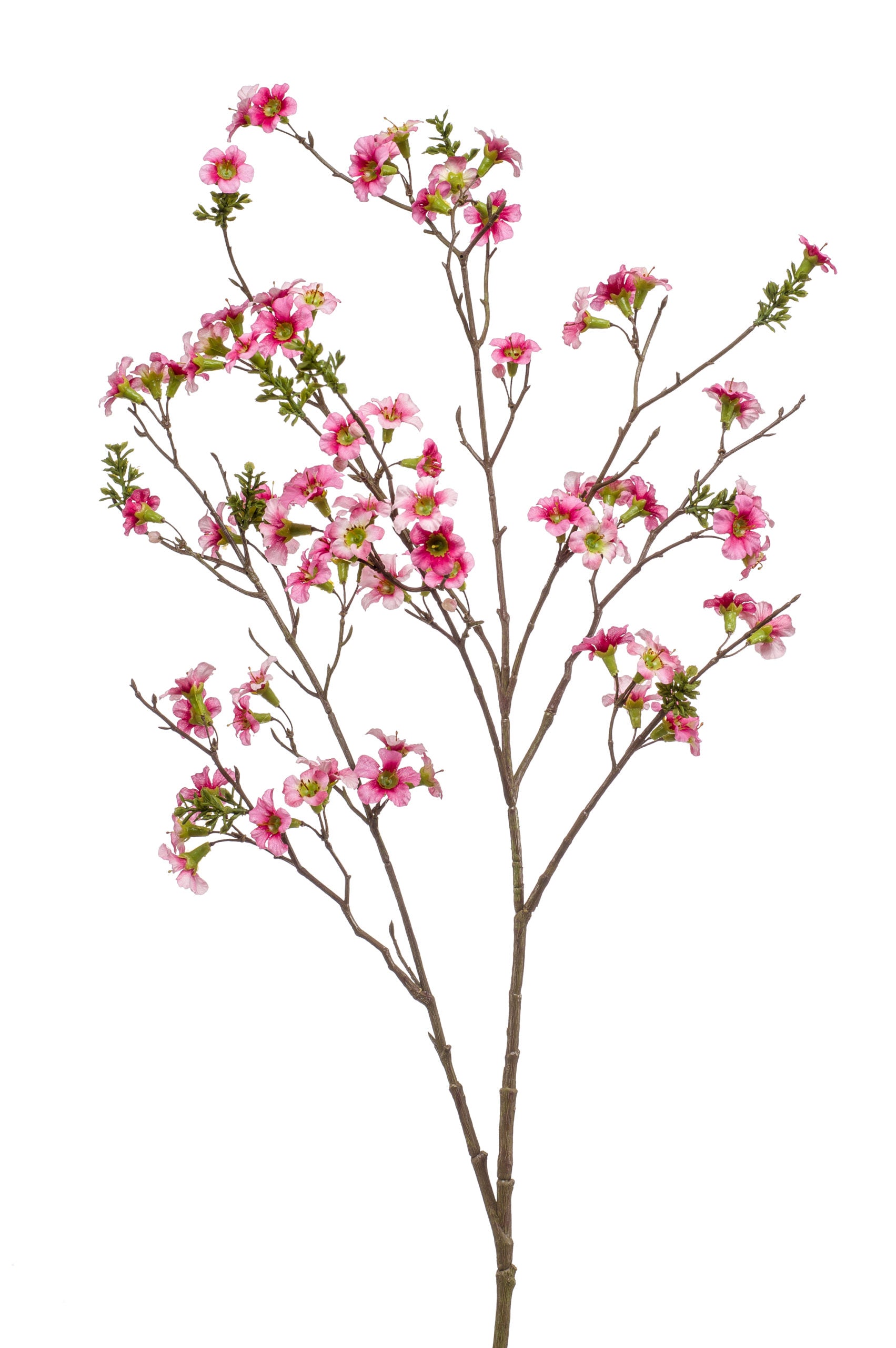 Leptospermum Fiore Finto Rosa 105 Cm