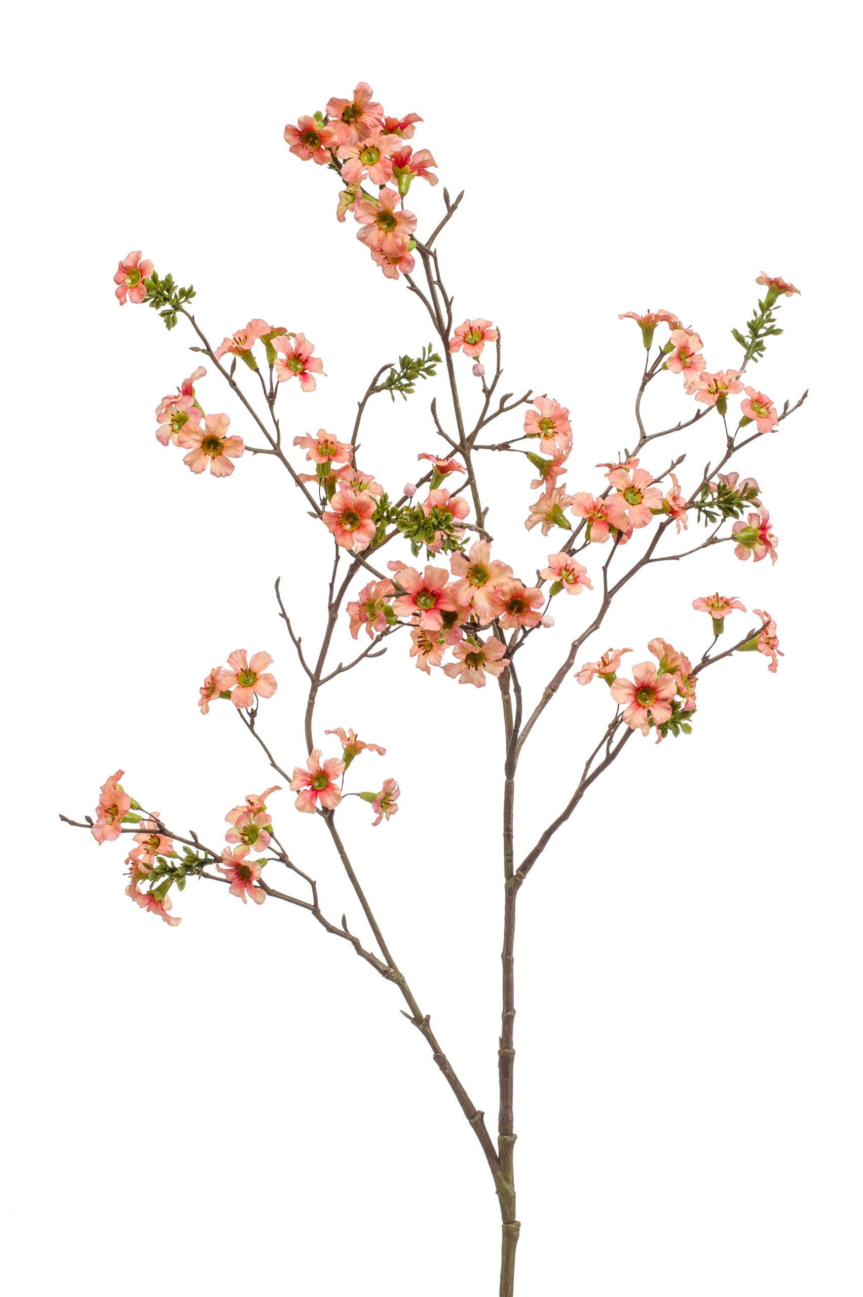 Leptospermum Fiore Finto Pesca 105 Cm