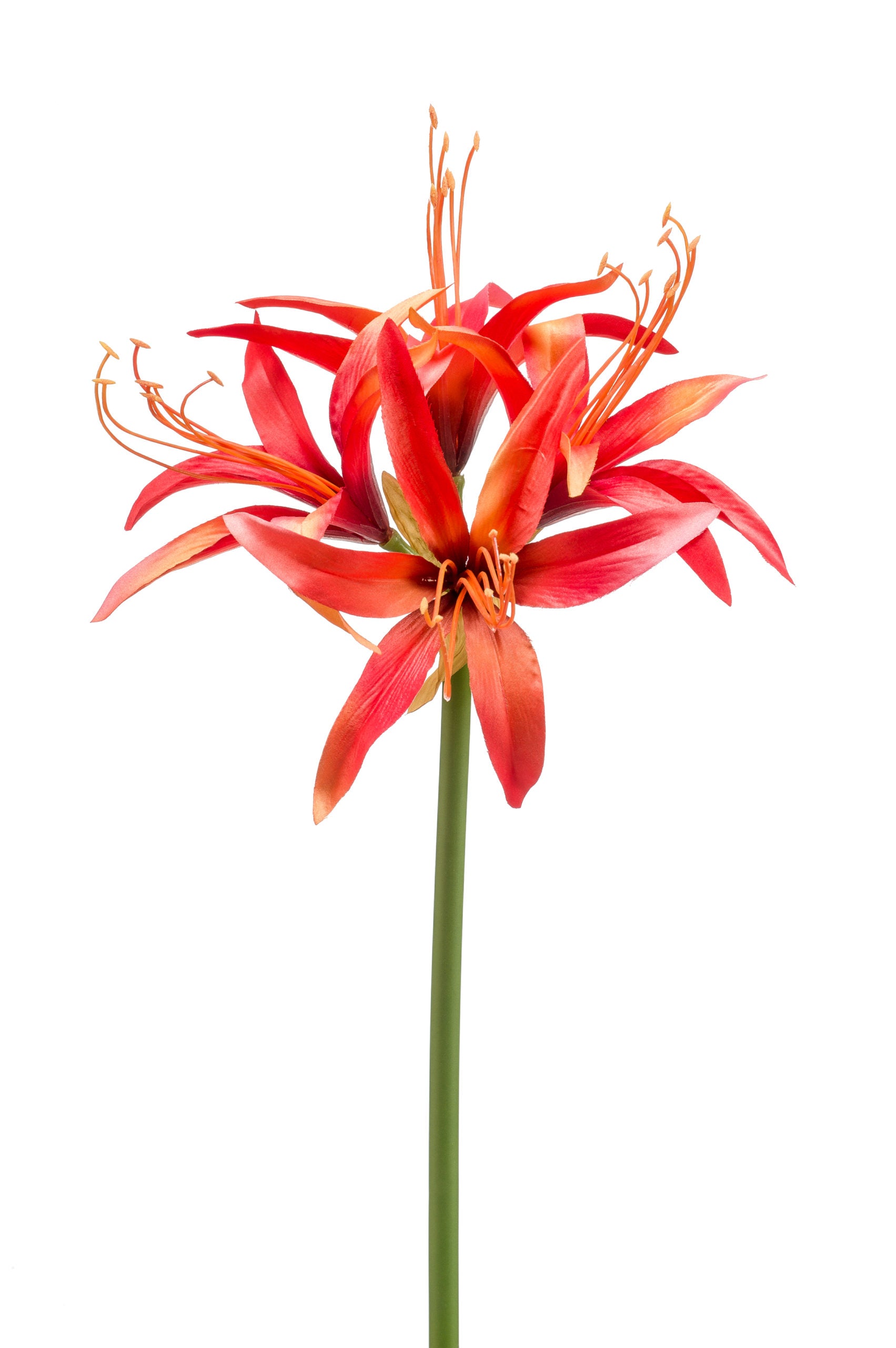 Amarillis Fiore Finto Arancione 73 Cm