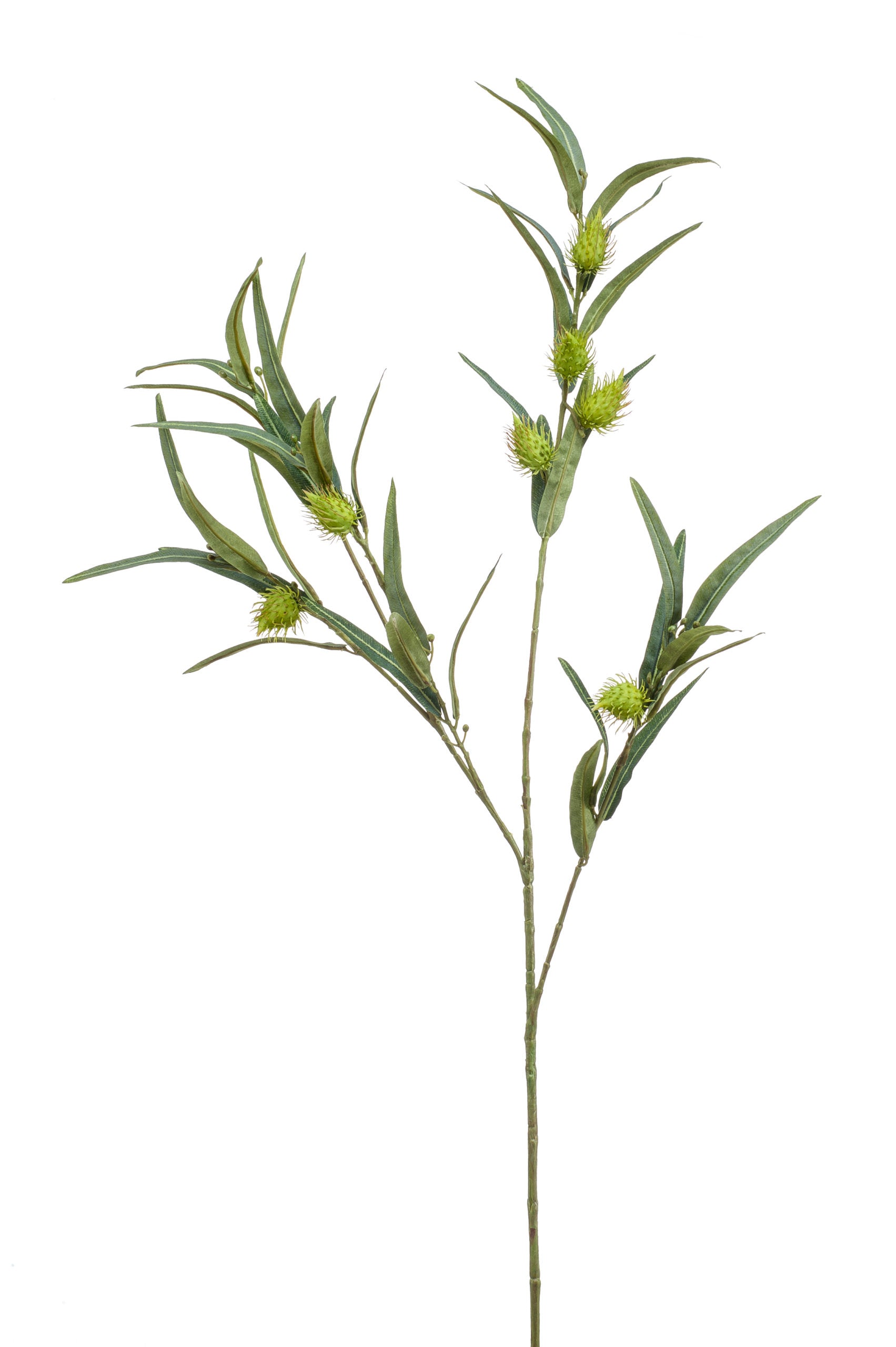 Ramo Asclepias Verde 95 Cm