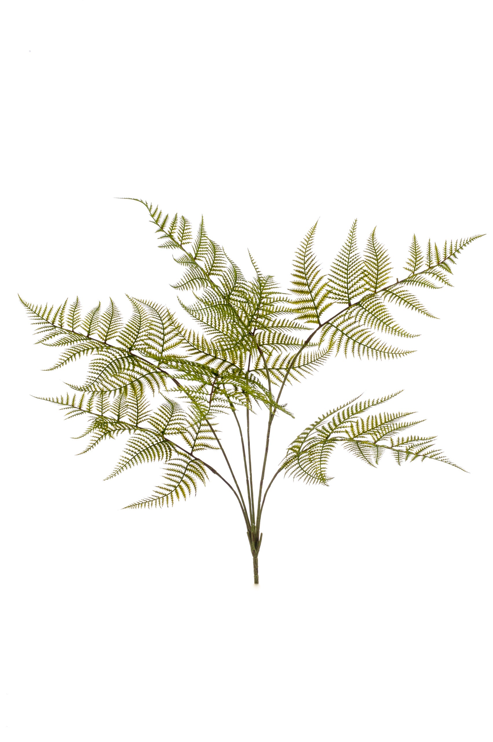 Ramo Foglie Felce Verde 65 Cm