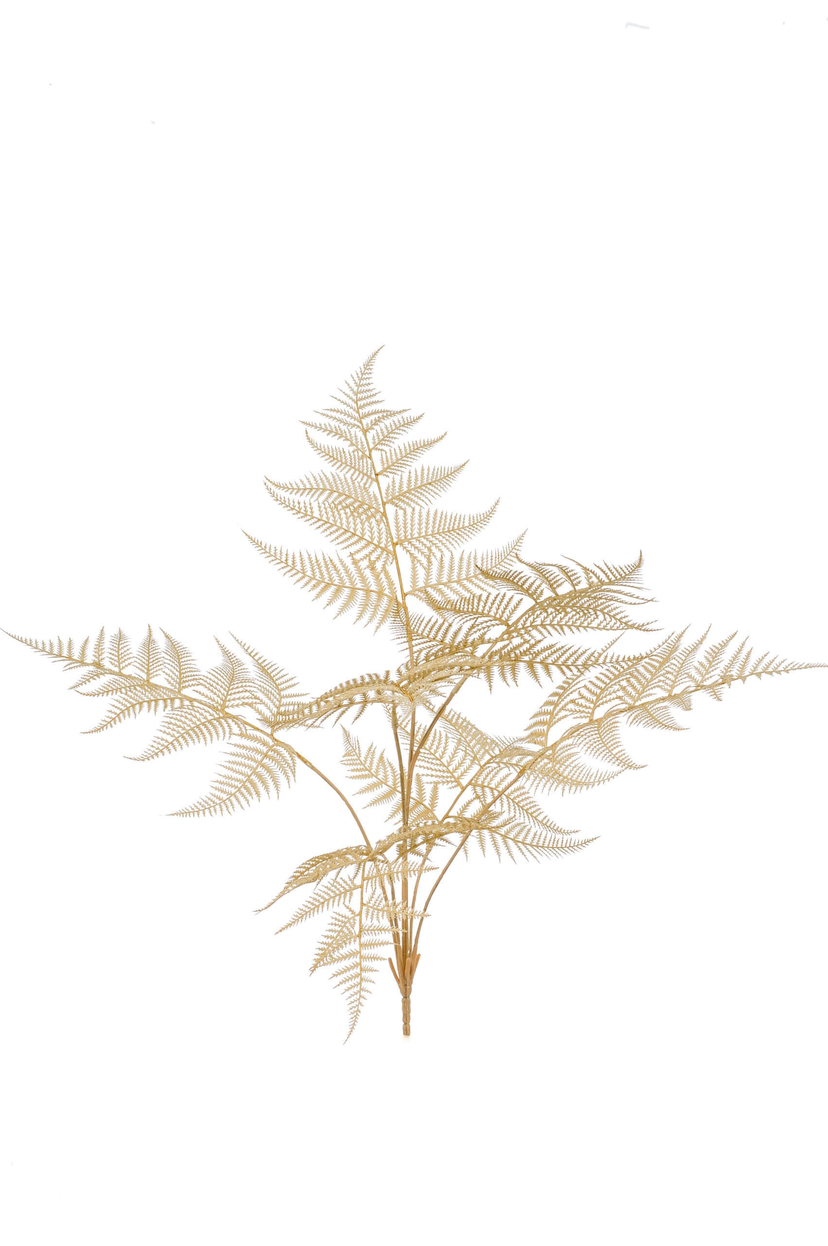 Ramo 7 Foglie Felce Beige 65 Cm